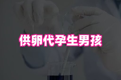 61助孕网 1