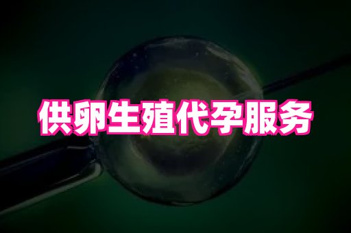 61助孕网 3